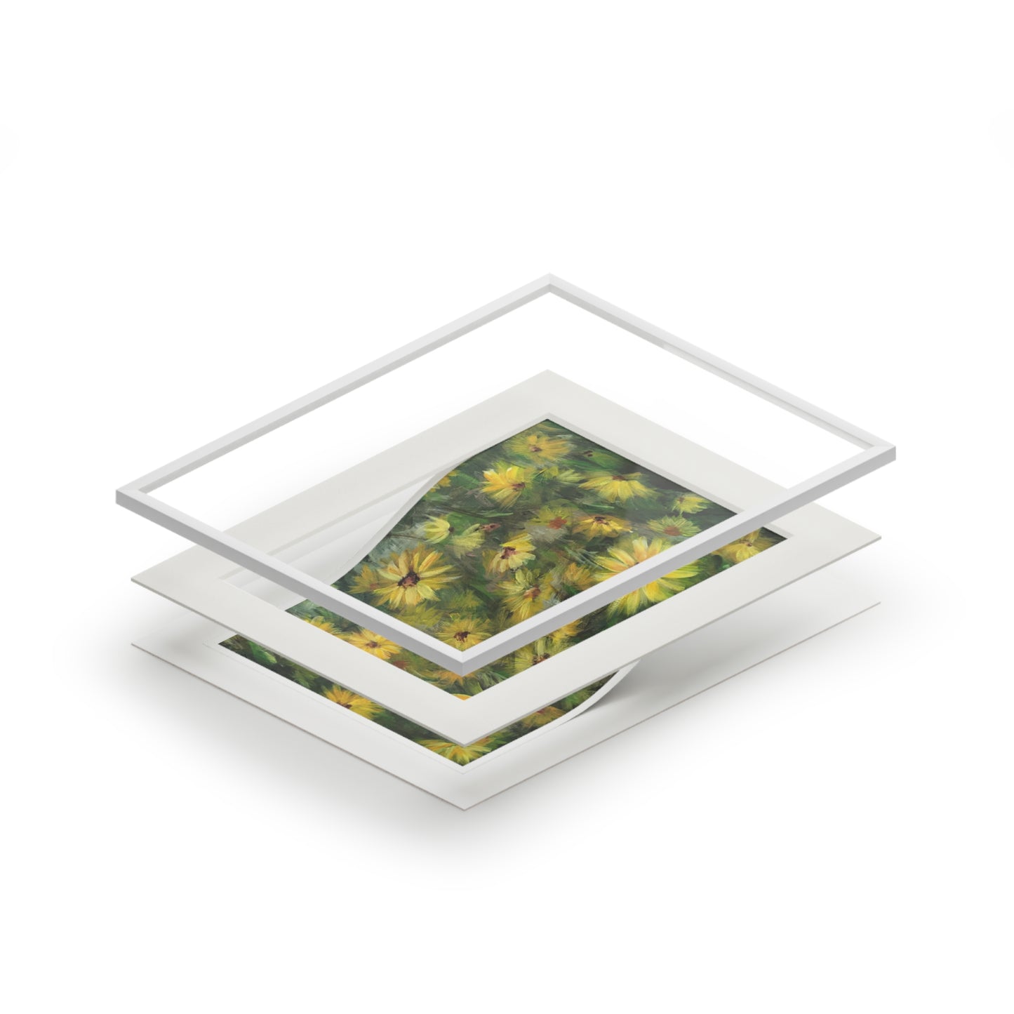Field of Flowers: Helianthus Matted Fine Art Print