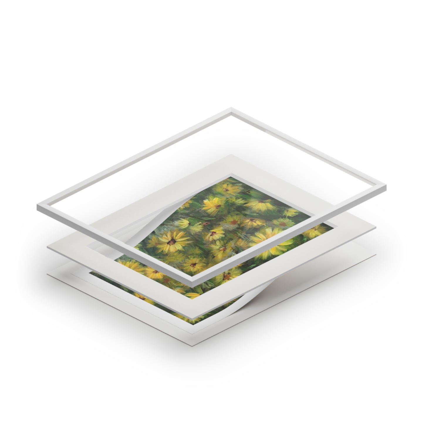 Field of Flowers: Helianthus Matted Fine Art Print